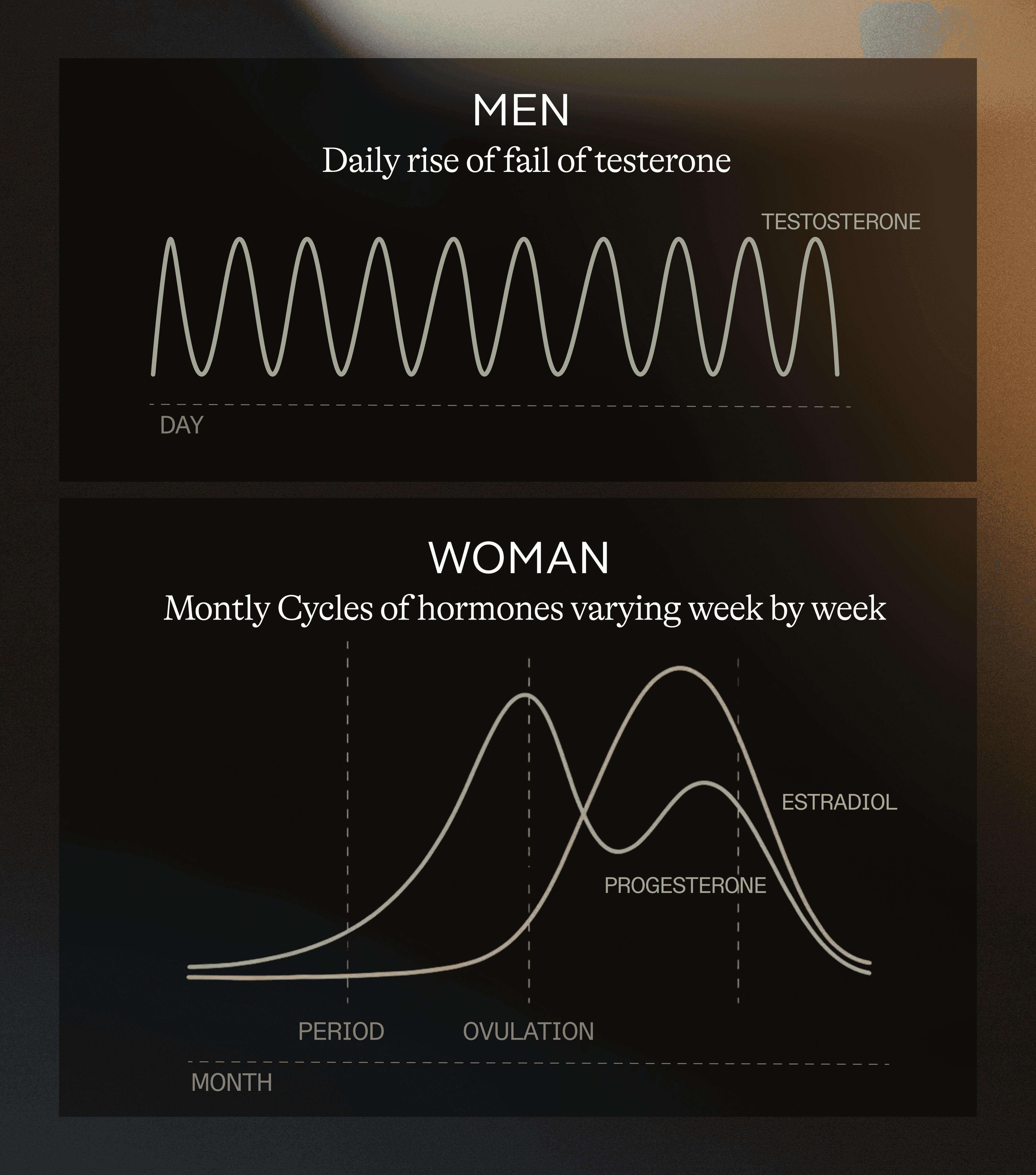 EN - Asset 2_LIBIDO.png