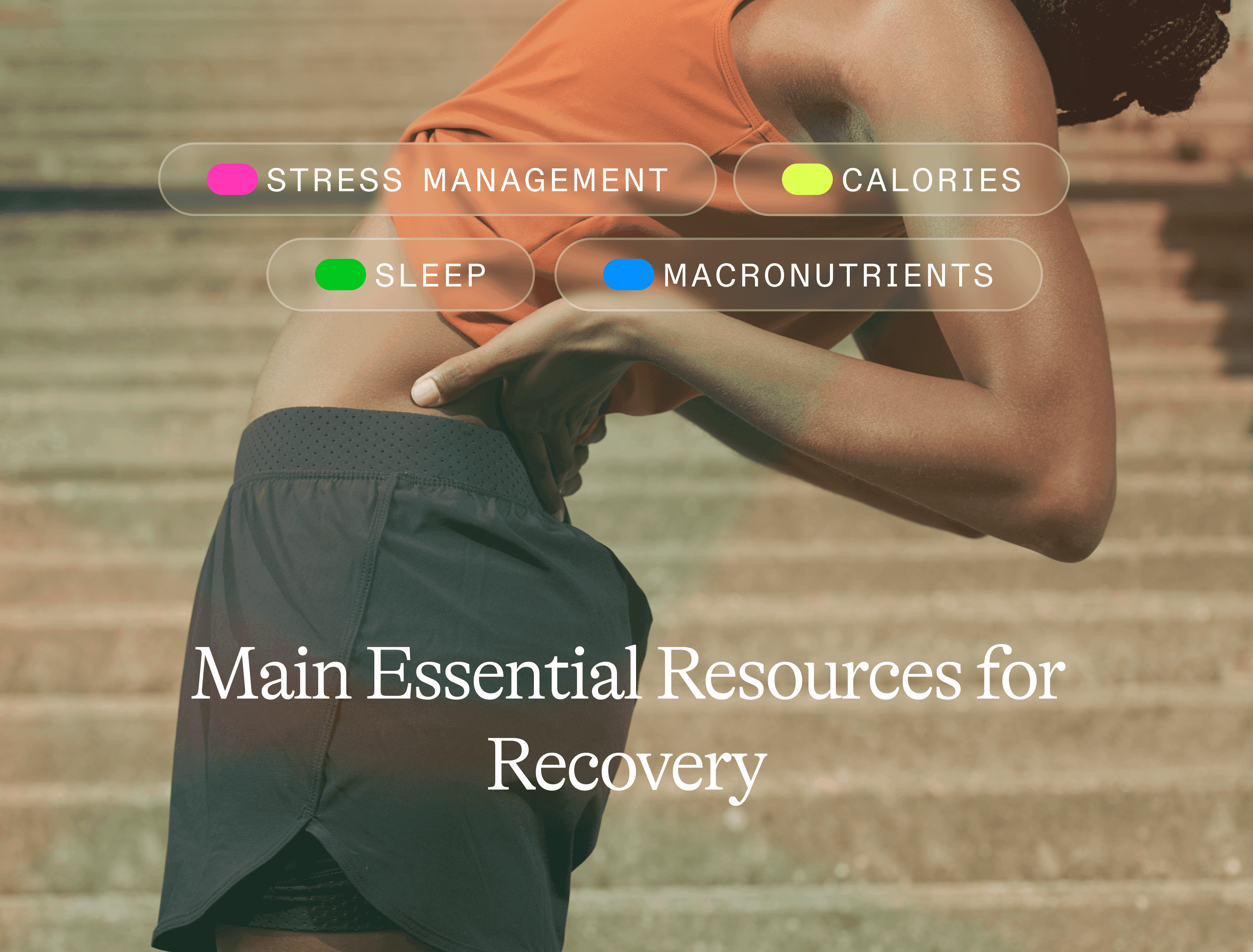 EN_Newsletter #1 Récupération03.png